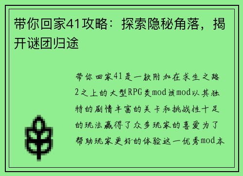 带你回家41攻略：探索隐秘角落，揭开谜团归途